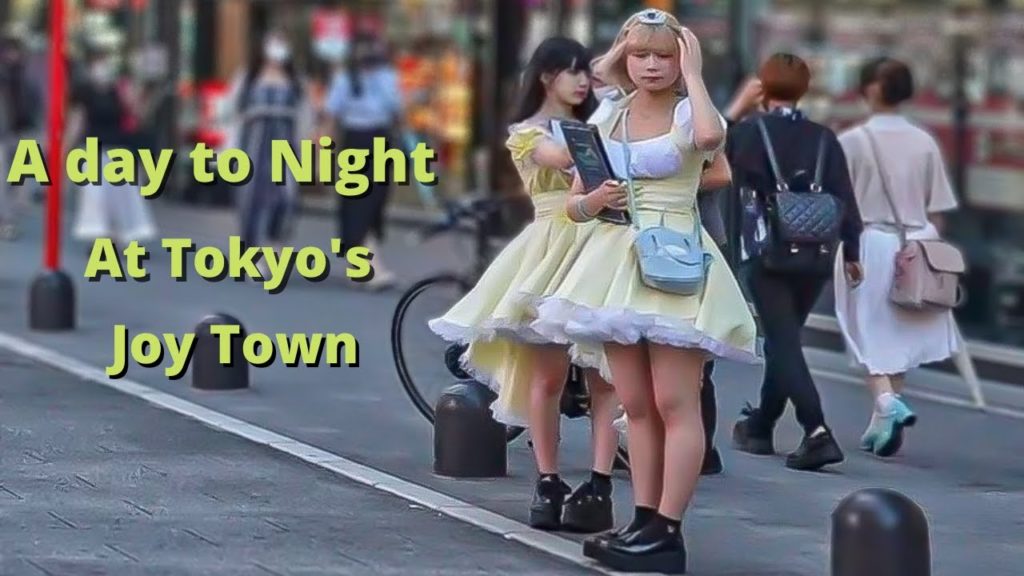 Tokyo's Night Joy paradise From Day to Night (Entire Area)
