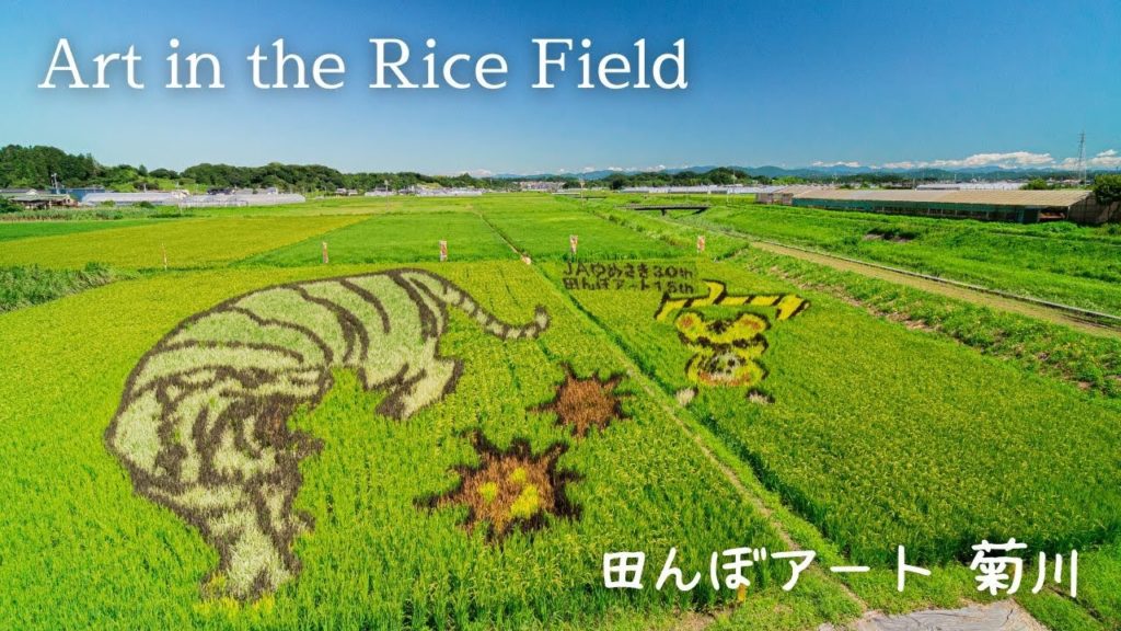 【VLOG】Art in the Rice Field – 田んぼアート 菊川 / VLOG / Summer in rural Japan / α7S III 【VLOG】Art in the Rice Field - 田んぼアート 菊川 / VLOG / Summer in rural Japan / α7S III