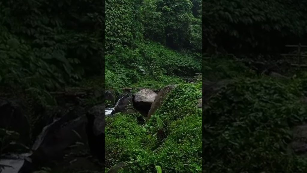 Bali, Indonesia |  Tourists Attractions |  4K (60FPS) | Peace Mind