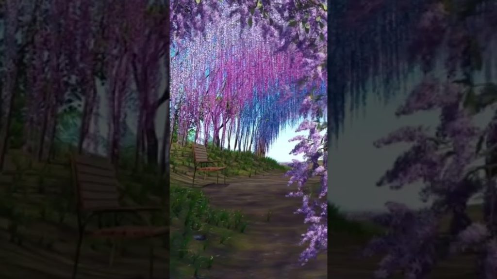 🥰"Wisteria Bloom"😍Kawachi Fuji Botanical Garden in Kitakyushu 💜#Japan #PeacefulWorld #WorldFine 🥰"Wisteria Bloom"😍Kawachi Fuji Botanical Garden in Kitakyushu 💜#Japan #PeacefulWorld #WorldFine