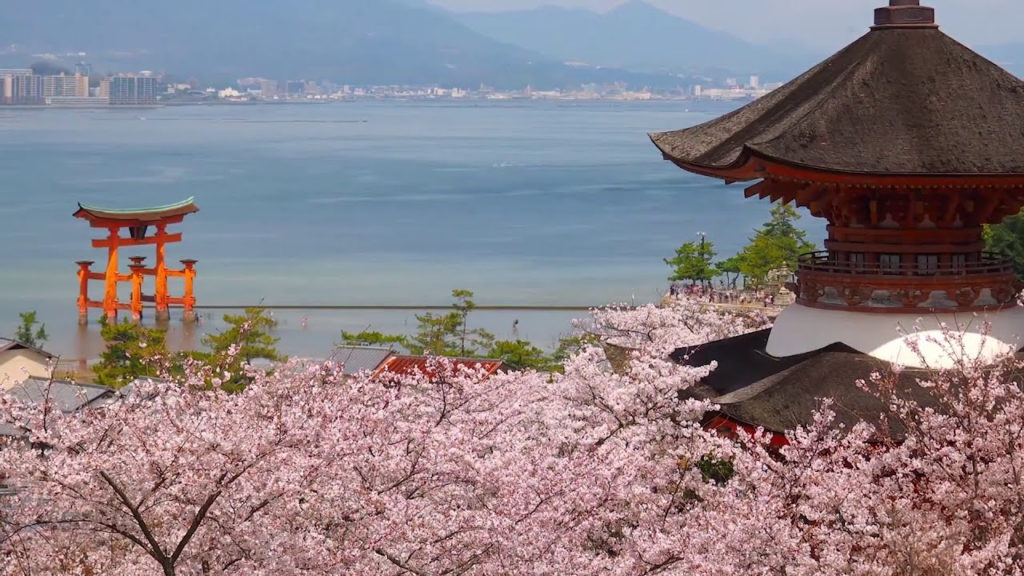 Miyajima, heritage, a day trip from Hiroshima City. One of must place to visit when you visit Japan Miyajima, heritage, a day trip from Hiroshima City. One of must place to visit when you visit Japan