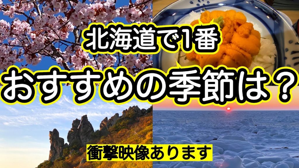 【徹底解説】北海道のシーズン別おすすめ観光地　夏の北海道は〇〇　北海道のBESTシーズンは？　１年に１度しか見られない衝撃映像❗️ 北海道の春夏秋冬を100倍楽しむ方法
