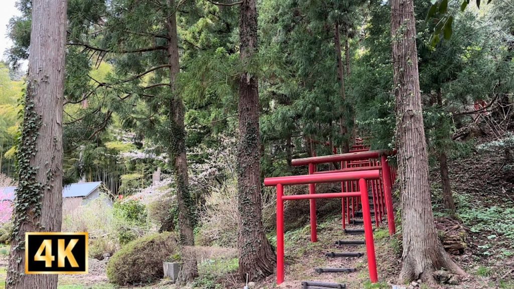 Japan Walking Tour 4K | The Most Beautiful Temple in Japan | Tokoji Temple Japan Walking Tour 4K | The Most Beautiful Temple in Japan | Tokoji Temple