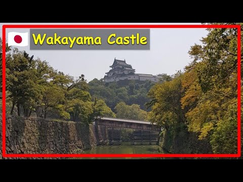π―π΅ I walked to the top of Wakayama Castle π― π―π΅ I walked to the top of Wakayama Castle π―