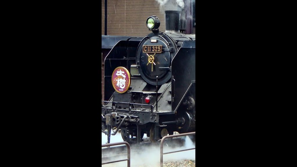 Enjoy the steam train ride! Tochigi Japan Trip  #shorts