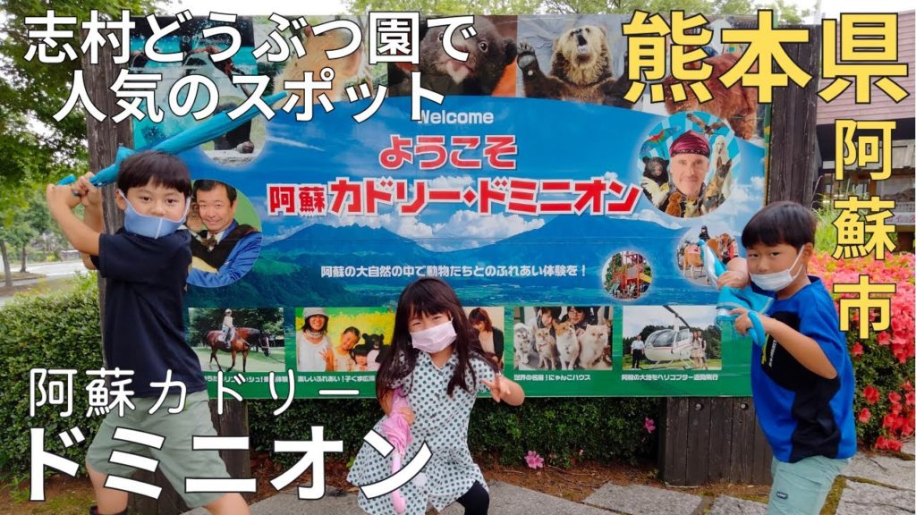 【体感】志村どうぶつ園で人気★阿蘇カドリードミニオンで熊と触れ合う♪熊本観光★みやざわ劇場/プリンちゃん【熊本県/experience/tourism/trip/kumamoto/japan】