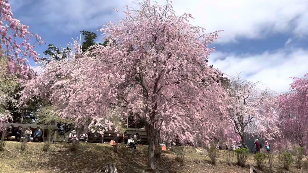 天空の庭高見の郷/奈良県東吉野村/part1#vlog