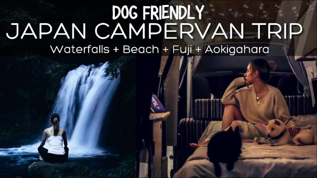 JAPAN Campervan Trip with our dogs! Izu Peninsula and Mt.Fuji | VLOG