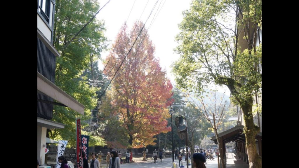 Hiroshima, Miyajima, Himeji, Kyoto & Osaka trip