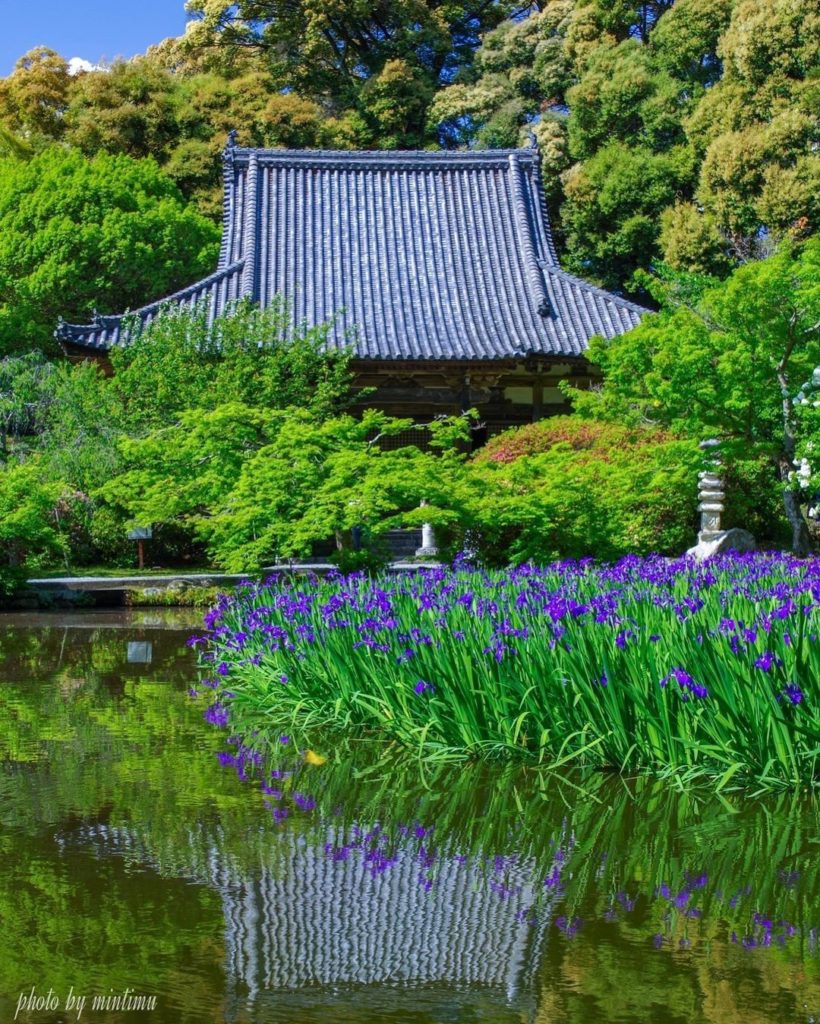What’s the oldest temple you know of? 
Chogakuji Temple in Nara Prefecture is pa...