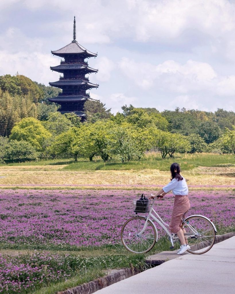 Cycle the day away as you admire scenic rice fields, historic temples and shrine...