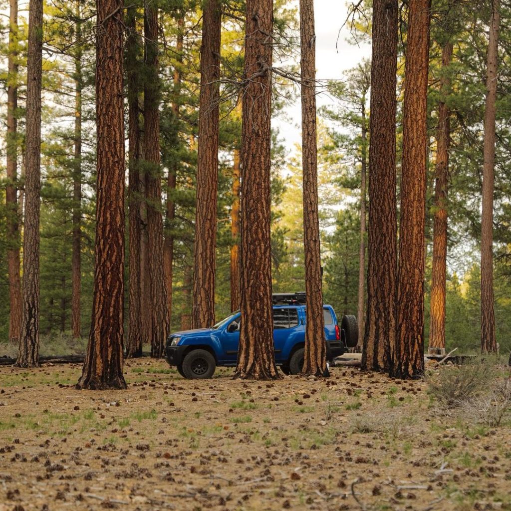 Hard to blend in when you’re born to stand out. #Nissan #NissanXTerra 
: @judeth...