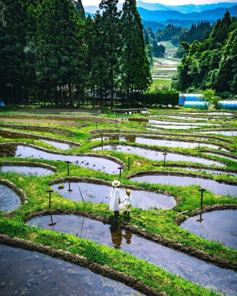 The perfect place for reflection...⁠
⁠
You may have spotted 'tanada' or rice ter...