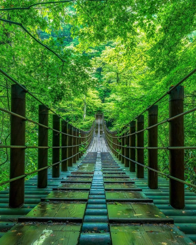 Visit Japan: What’s the closest you’ve ever felt to nature while strolling on a bridge?
Visi… What’s the closest you’ve ever felt to nature while strolling on a bridge?
Visi...