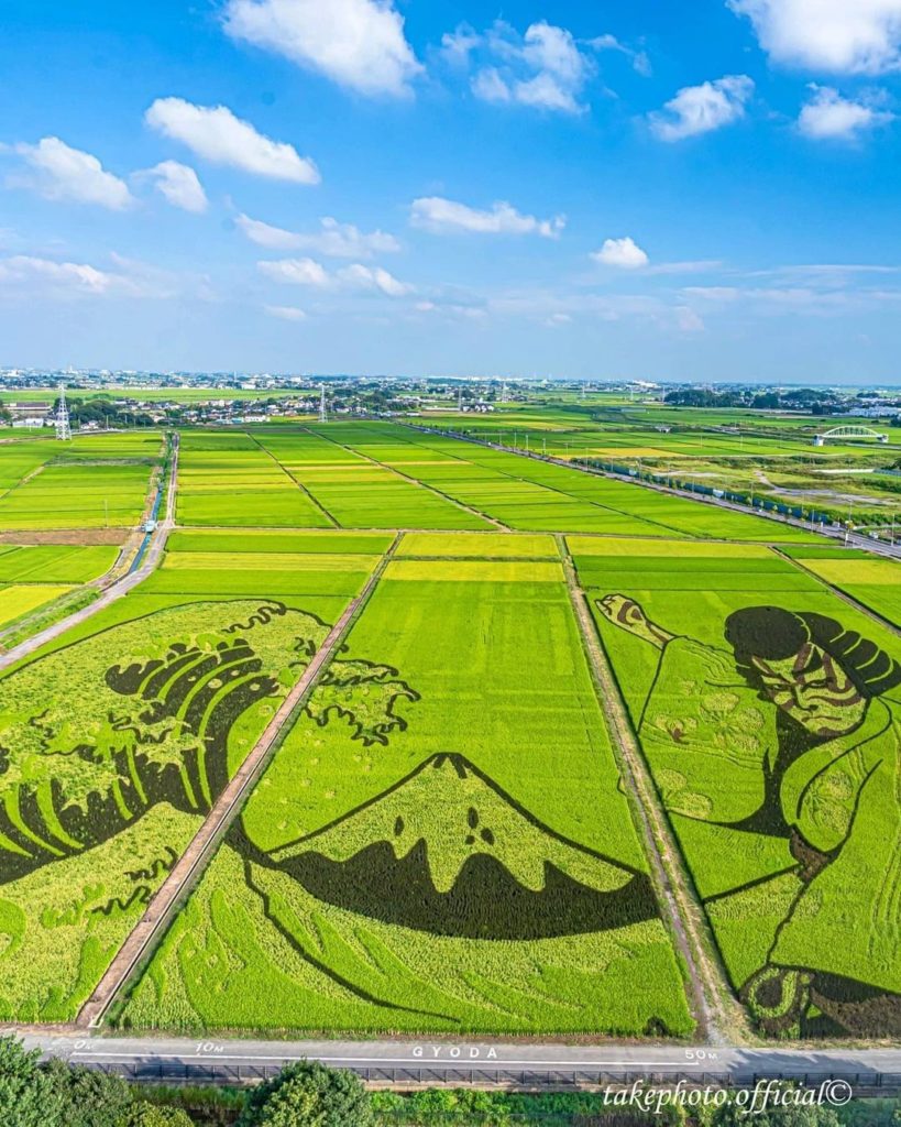 What sort of natural plant art have you seen before? 
In 2015, the Guinness Book...