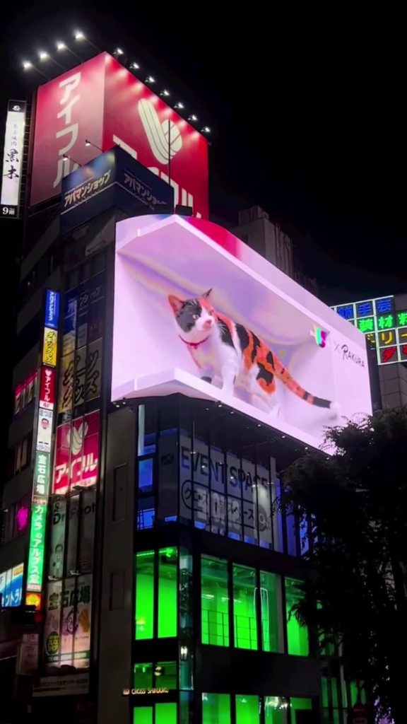 Visit Japan: You never know what you’ll find in Shinjuku, Tokyo! 
Shopping, eating, some o… You never know what you'll find in Shinjuku, Tokyo! 
Shopping, eating, some o...