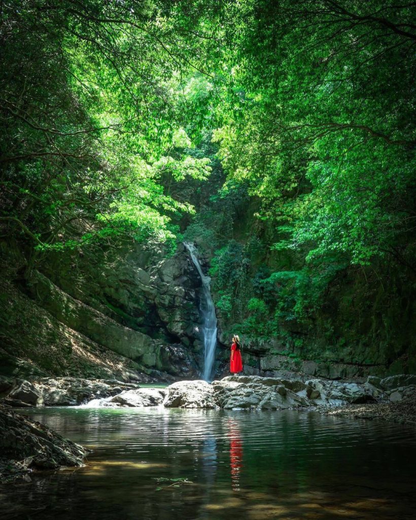 Ayugaerinotaki Falls is nestled in the forests of Mitoyo City, Kagawa. Despite b...