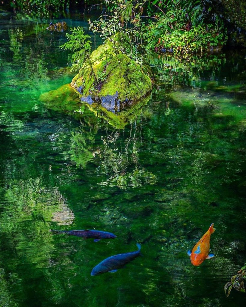 Where's your favorite place to beat the heat of summer? 
Beautifully clear water...