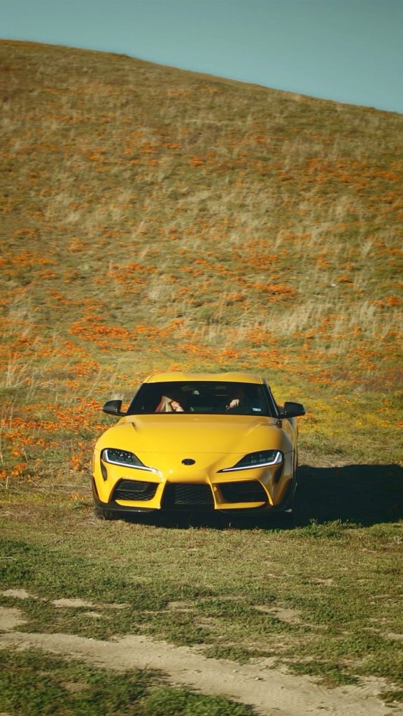 Supra is always in season. #Supra #LetsGoPlaces...