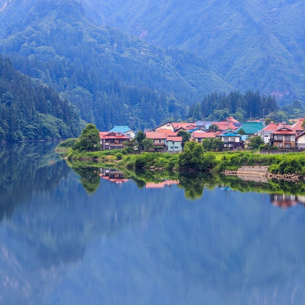 Visit Japan: What is the oldest forest you’ve ever visited?
The town of Kaneyama in Fukushim… What is the oldest forest you've ever visited?
The town of Kaneyama in Fukushim...