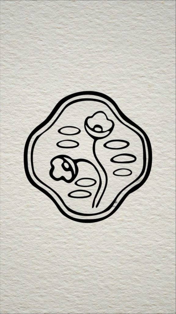 Bold and in bloom for 150 years. Discover the rich history behind SHISEIDO’s ico...