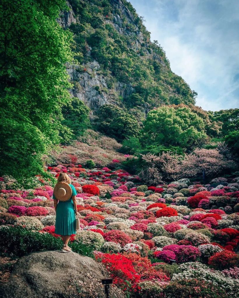 Visit Japan: Whether you’re interested in nature, history, or art, Saga Prefecture has someth… Whether you’re interested in nature, history, or art, Saga Prefecture has someth...