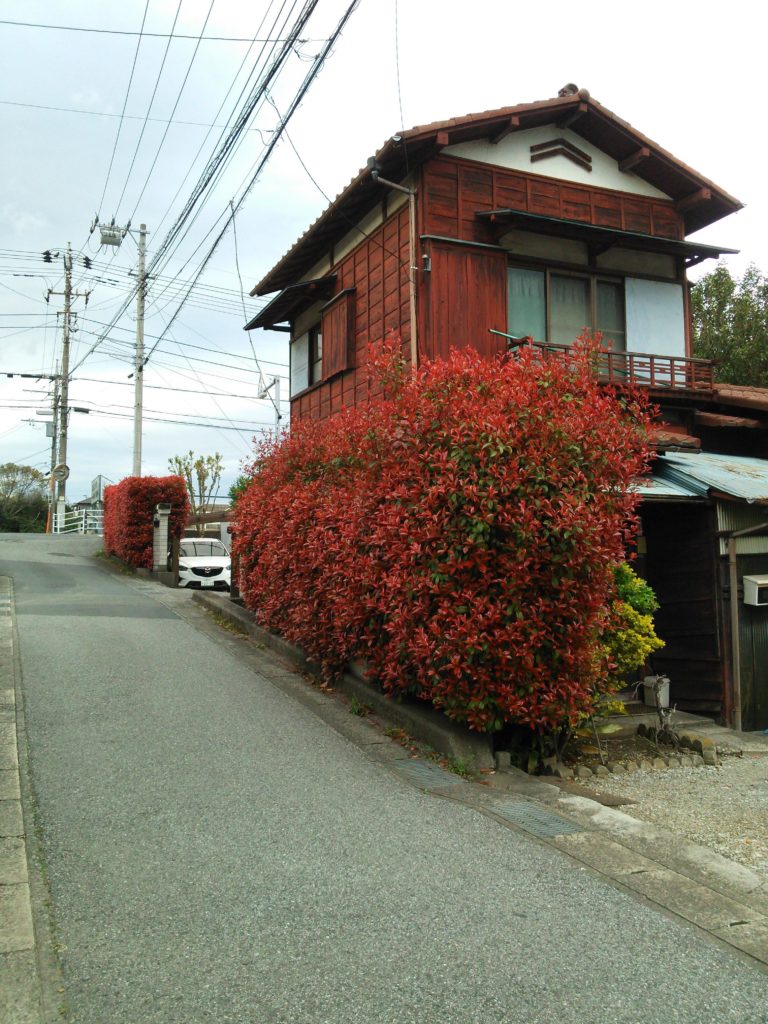 Why does my neighborhood in Japan always look like a tourist spot?