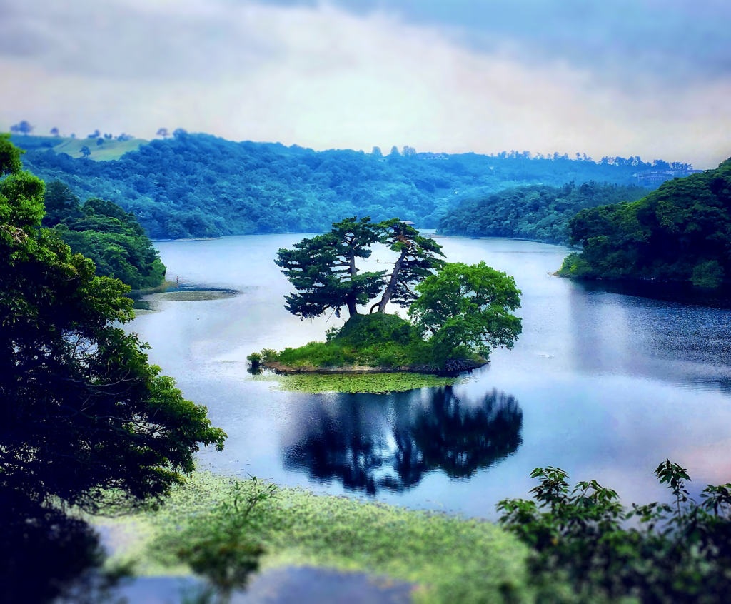 A small pine covered island in a lake in rural Tottori Prefecture [OC]