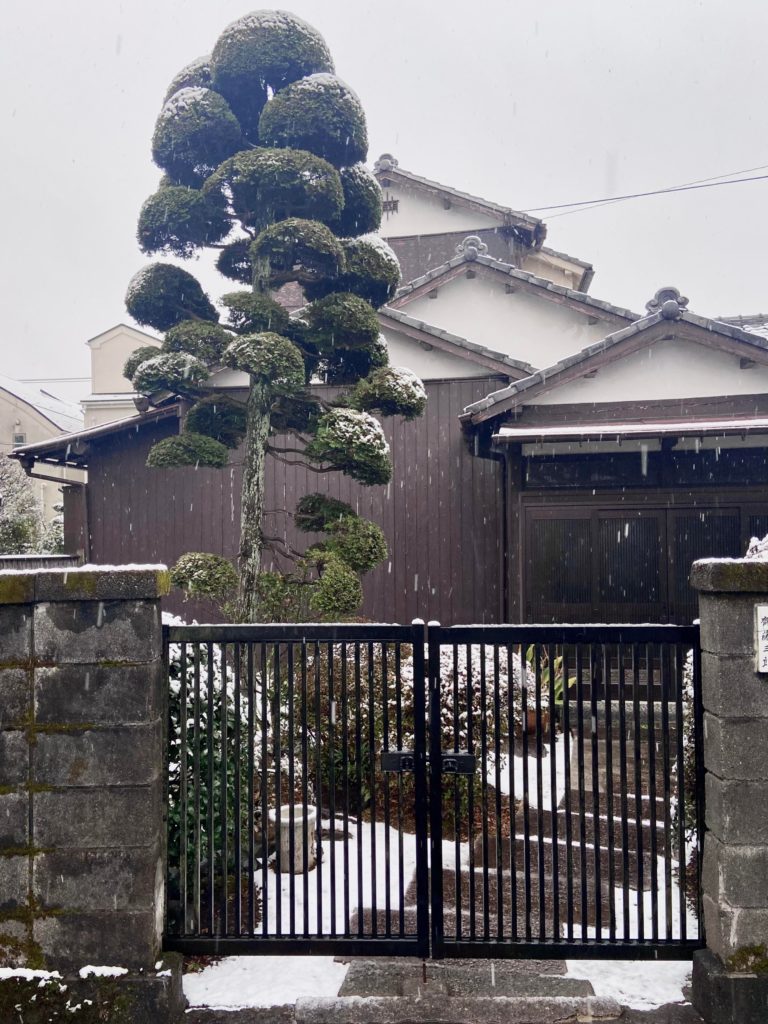 Light snowfall in Suginami, Tokyo[2020]
