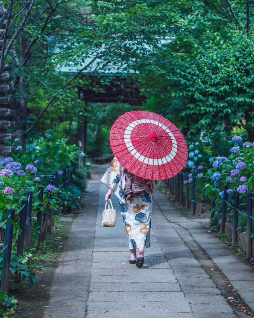 Hydrangeas and lady in Yukata