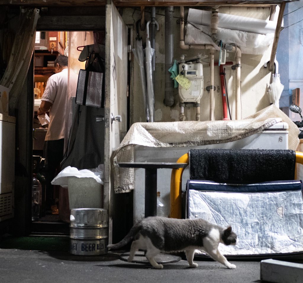 Alley Cat, Tokyo (2019)