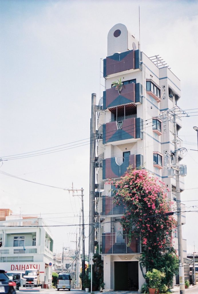 The Apartment is Blooming (OC)