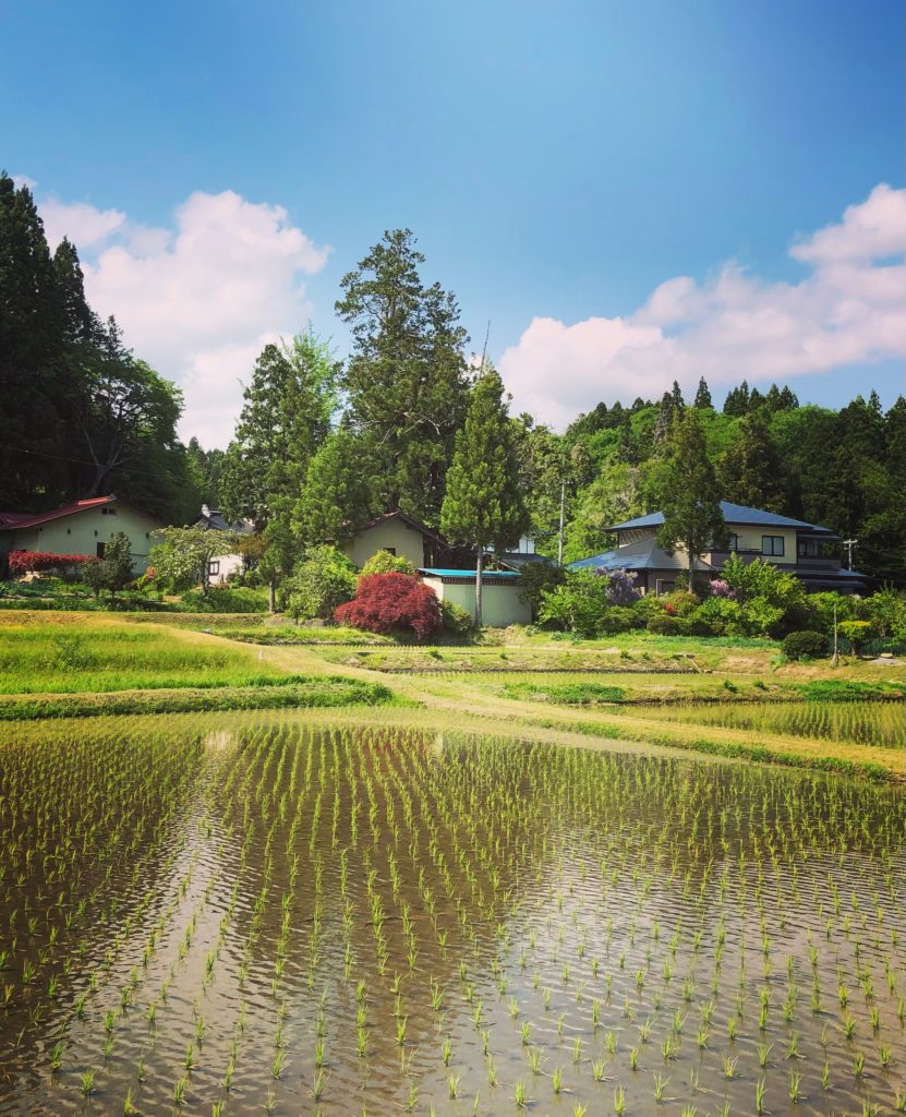 Another bucolic view of rural Iwate Prefecture. [OC]