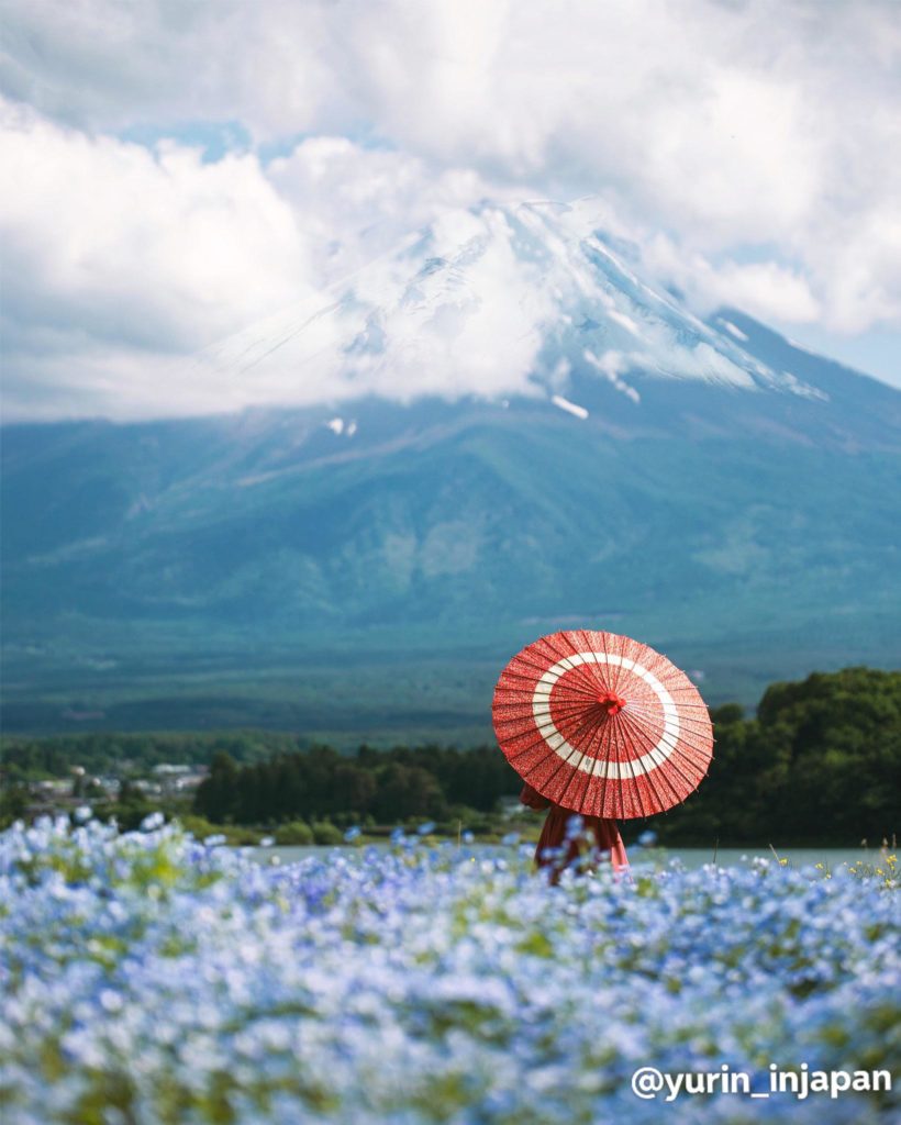 Mount Fuji in summer