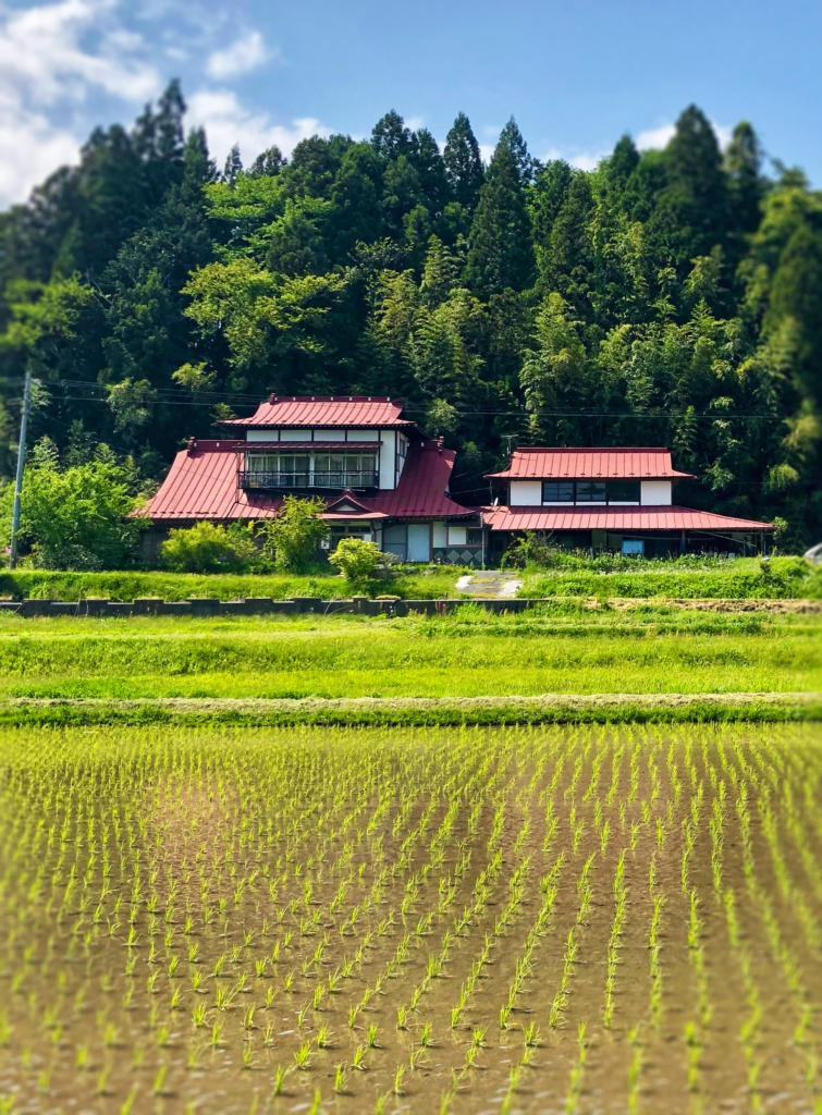 Ricefields and countryside home in rural Iwate Prefecture [OC]