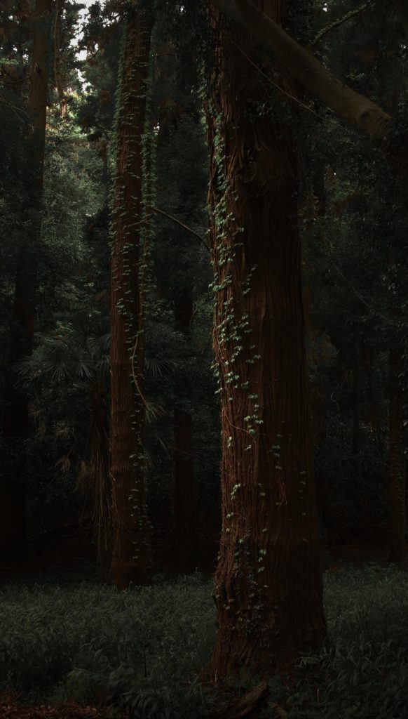 Tomioka, Gunma Prefecture [OC]