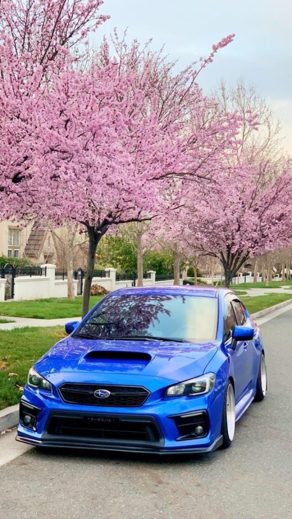 Subaru WRX next to cherry blossom trees