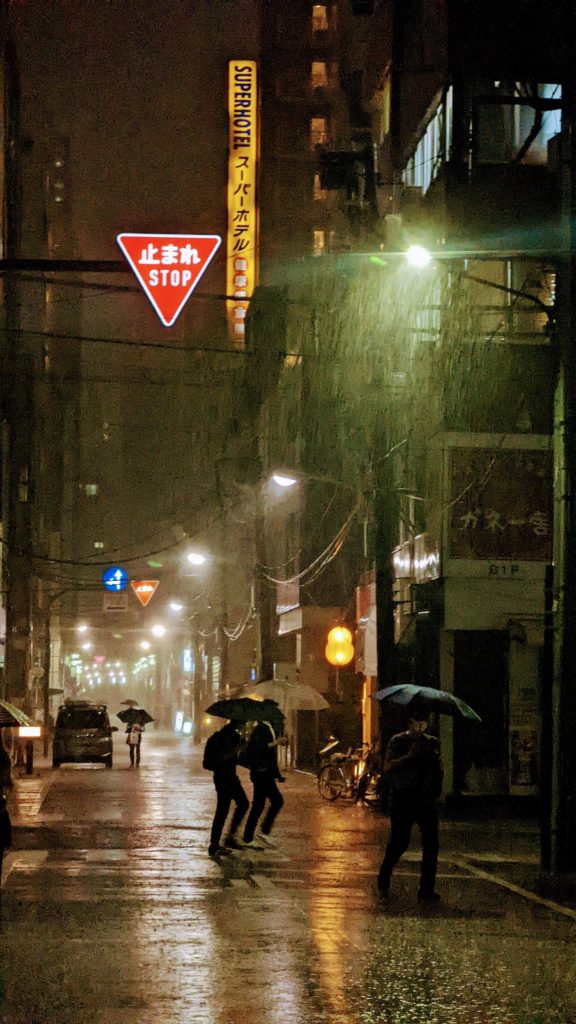 Tokyo in the Rain