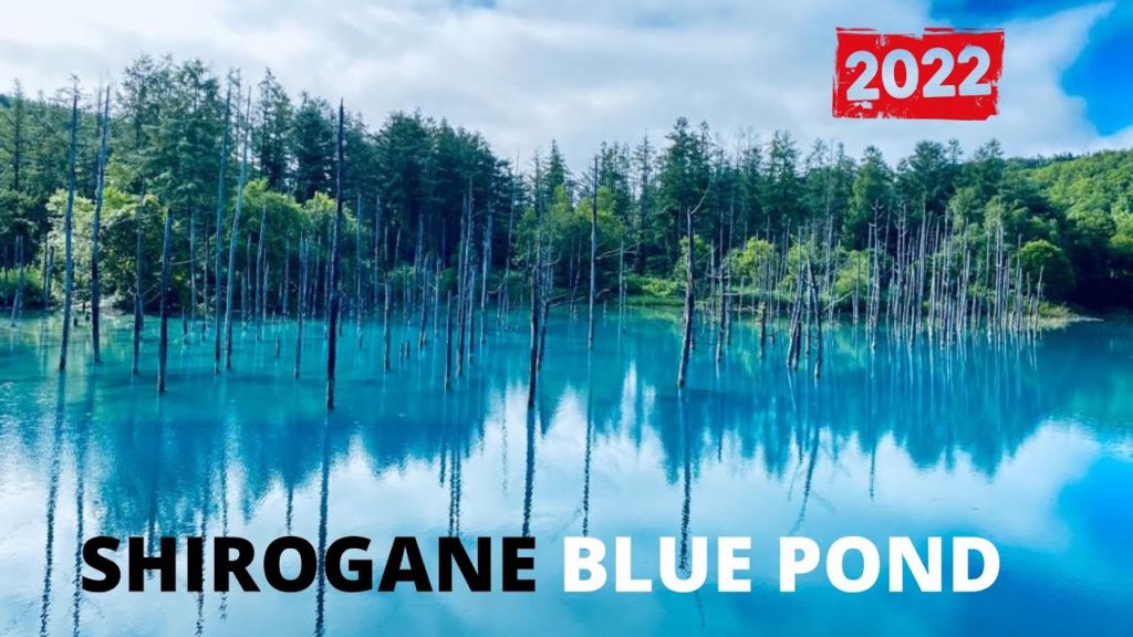 SHIROGANE BLUE POND IN BIEI | BIEI BLUE POND | BIEI, HOKKAIDO | JAPAN TRAVEL VLOG | MAMUN CHOWDHURY
