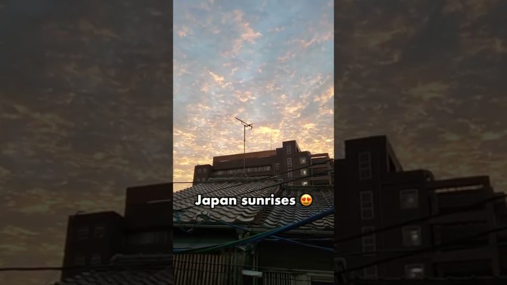 japan sunrises just hit different