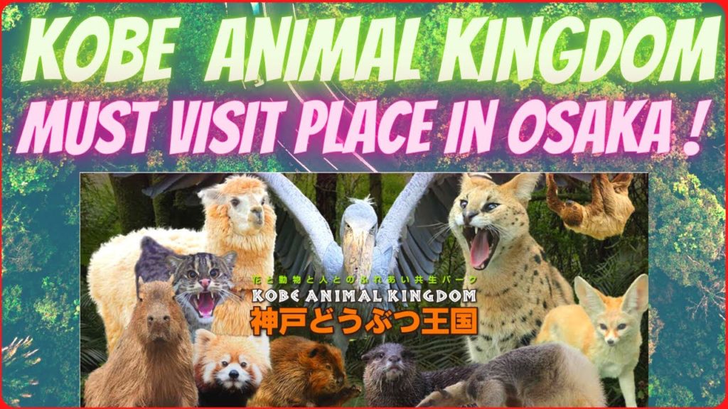 Osaka famous places |  神戸どうぶつ王国 Kobe Animal Kingdom | marathi vlog in japan | japan darshan