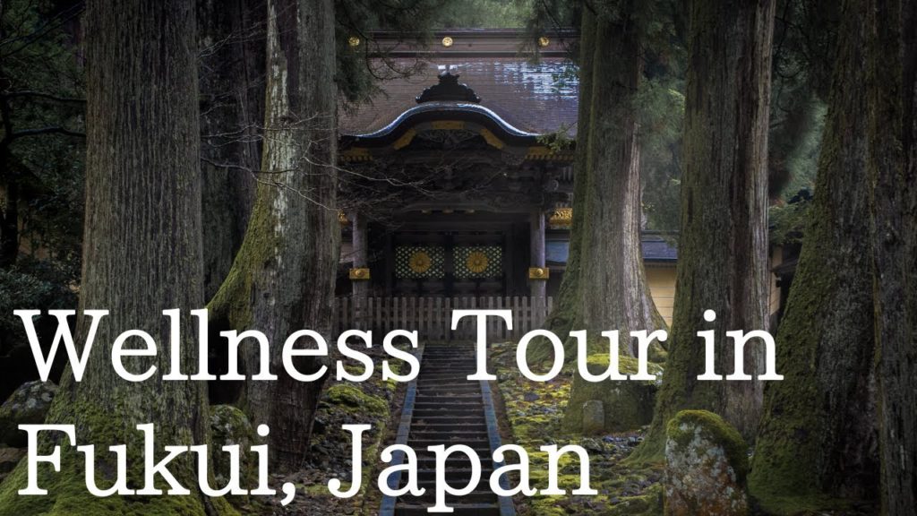 Journey to Physical and Mental Well-being: Wellness Tour in Fukui Journey to Physical and Mental Well-being: Wellness Tour in Fukui