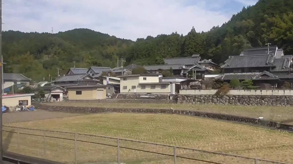 りんかんの景色