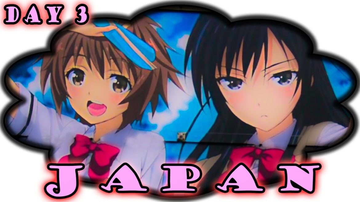 JAPAN SAKURA TRIP ❀ TOCHIGI | Nikko ❀ TOKIO | Akihabara ❀ Day 3