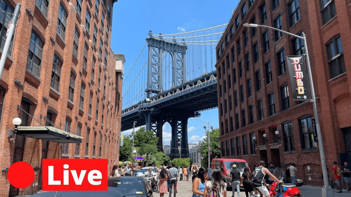 NYC LIVE Exploring by Bike