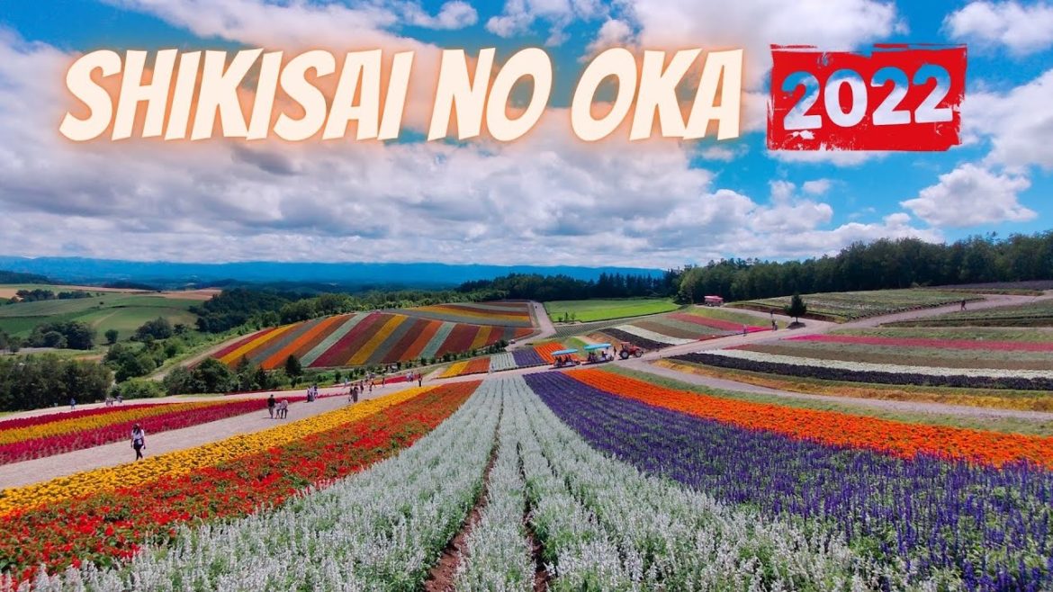 【SHIKISAI NO OKA】 四季彩の丘 | PANORAMIC FLOWER PARK SHIKISAI NO OKA | BIEI, HOKKAIDO | MAMUN CHOWDHURY