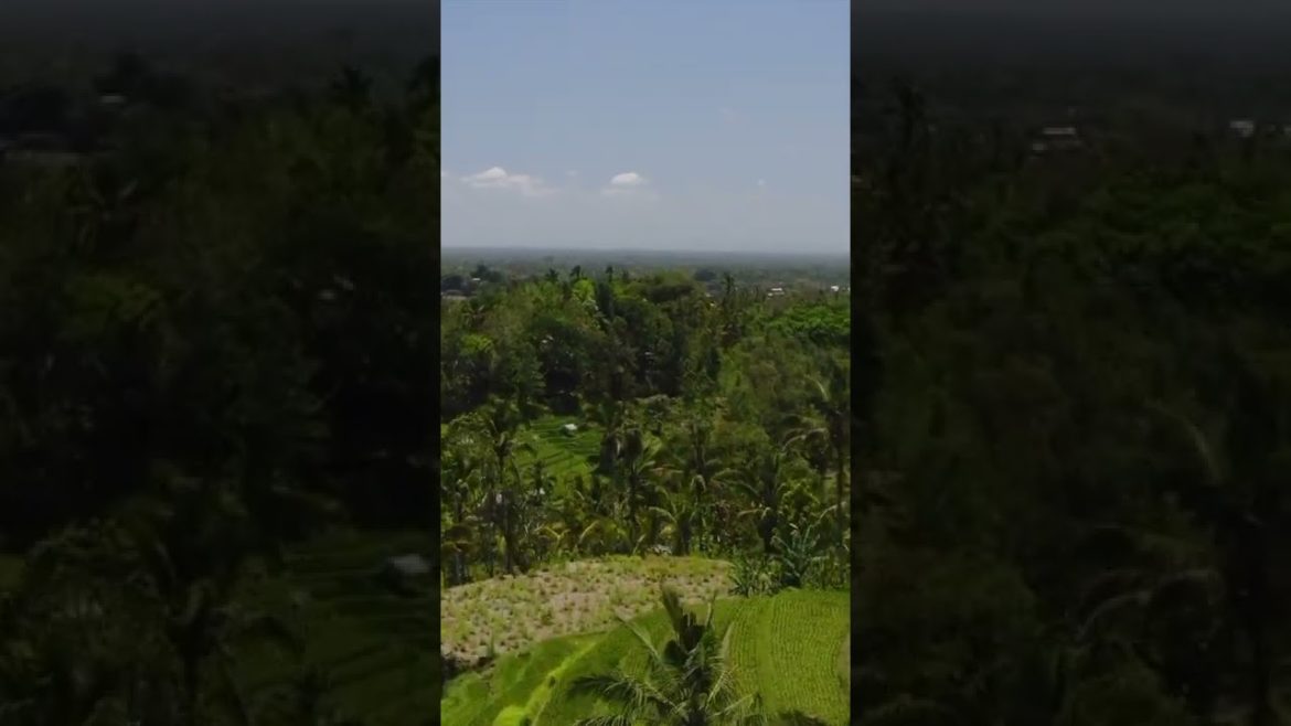 Bali, Indonesia |  Tourists Attractions |  4K (60FPS) | Peace Mind