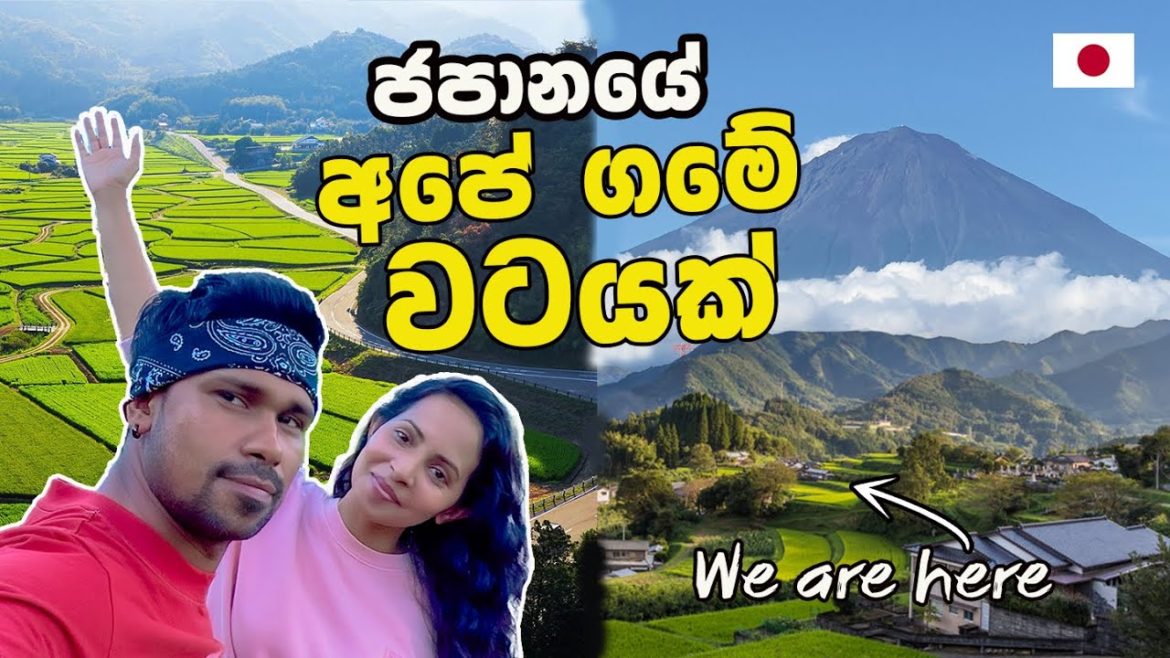 හිත නිවෙන අපේ ජපන් ගම | VILLAGE TOUR | Hithumathe JAPAN Travel හිත නිවෙන අපේ ජපන් ගම | VILLAGE TOUR | Hithumathe JAPAN Travel