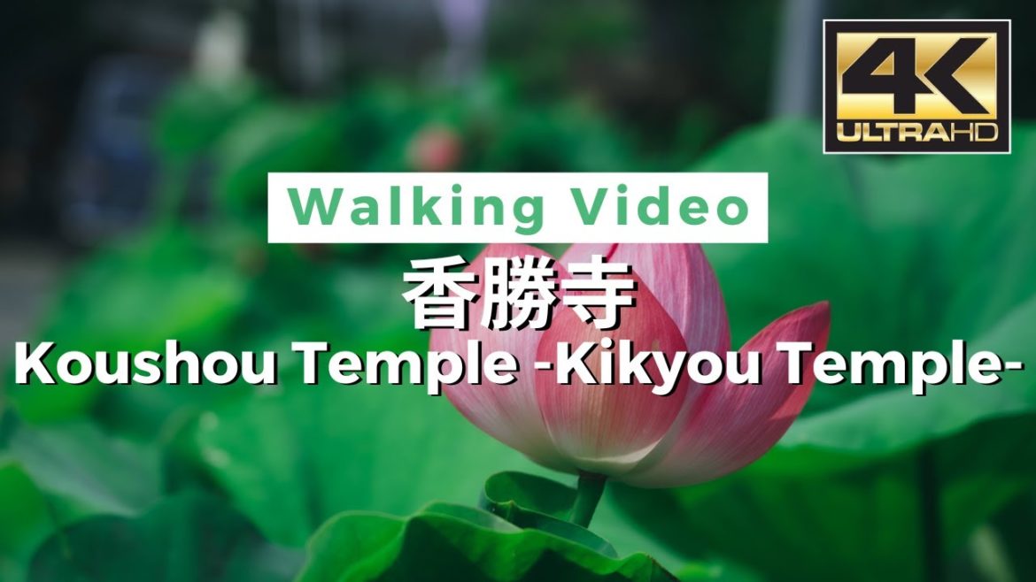 【4K】Koushou Temple – 香勝寺(ききょう寺) Walking tour / Japan / DJI Pocket 2 【4K】Koushou Temple - 香勝寺(ききょう寺) Walking tour / Japan / DJI Pocket 2