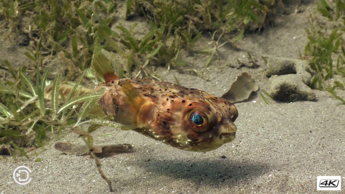 8 Champagne (part 1) 8 Champagne (part 1)